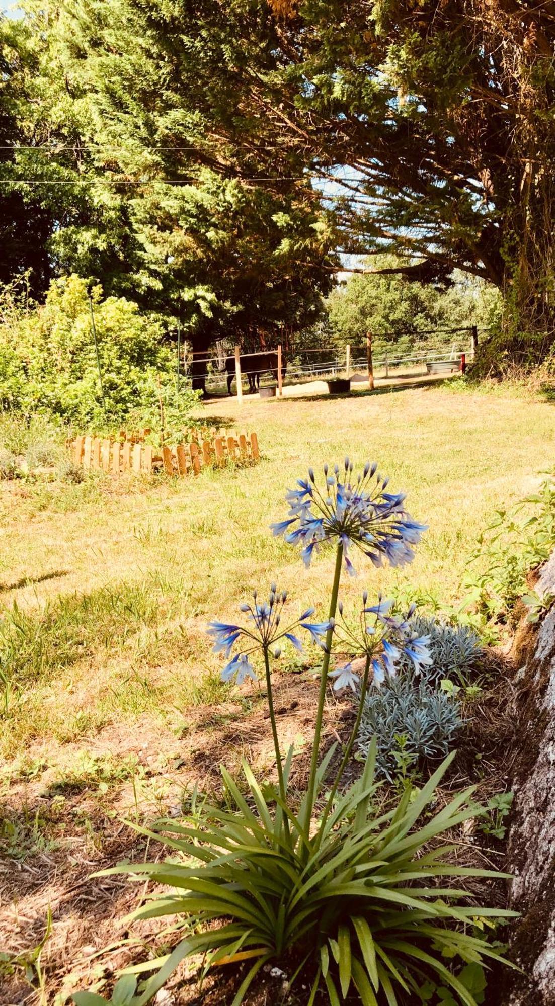 Le Mas Brantome Bagian luar foto